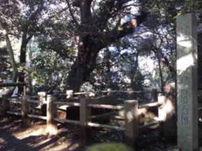 the stone coffin of Akedo Mound