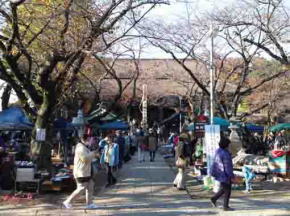 antique market in Hokekyo-ji