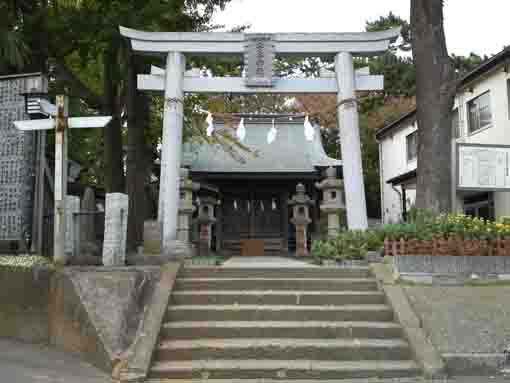 the torii gate of Awa Jinja Shrine