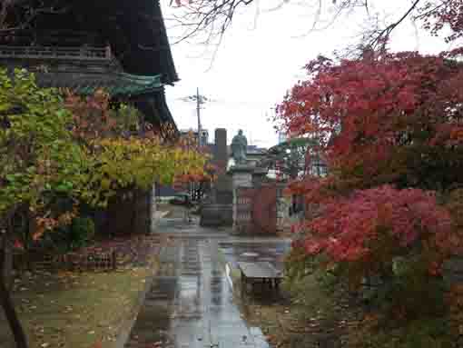 colored leaves and the niomon gate