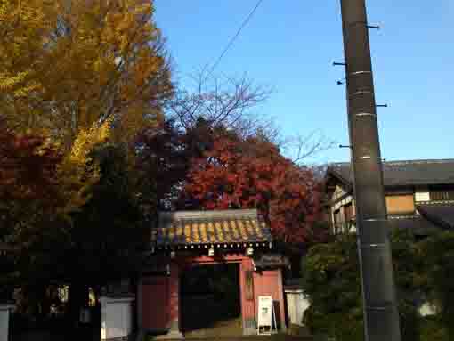 the sanmon gate of Ekoin in fall