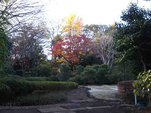 the garden in Ekoin Temple in fall