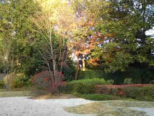 the stone garden and colored leaves