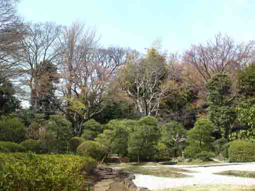 the garden in Ekoin Temple in Ichikawa