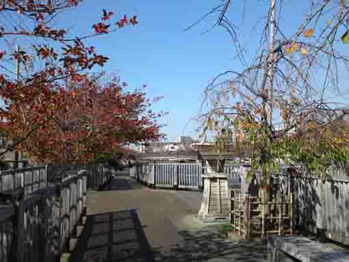 colored leaves on the bridge