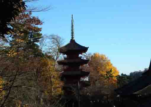 colored leaves in Nakayama Hokekyoji