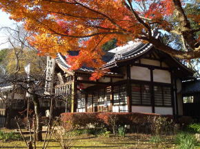 Autumnal trees and the Daikokudo