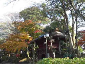 the bell tower and the niomon gate in fall