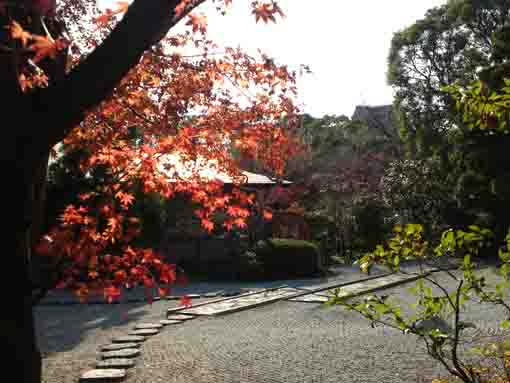Genshinan in late fall