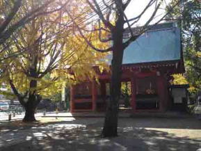 the back of the Zuishinmon Gate in fall