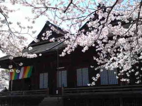 Hokekyoji Soshido over cherry blossoms