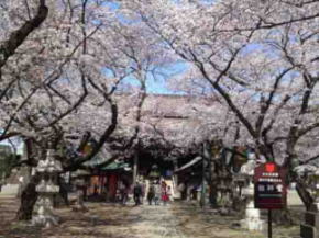 the main hall of Nakayama Hokekyoji