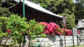 Hokkedo Hall in Hokekyoji Temple