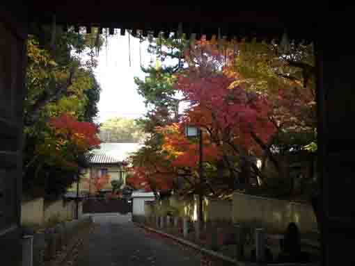 fall in Hosenin Temple