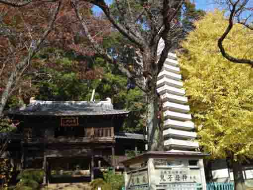 beautiful leaves in Hokekyo-ji