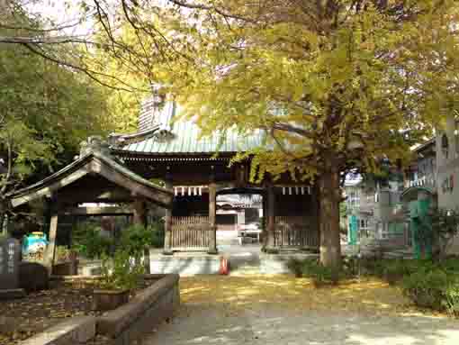 Niomon Gate in Jokoji
