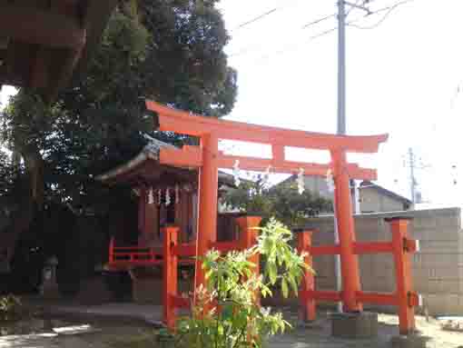 a red shrine in Kasai Jinja