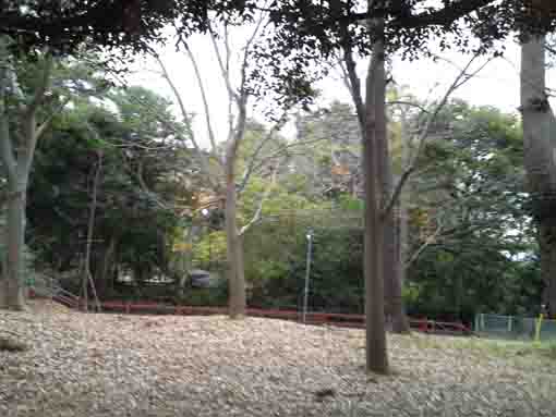 the autumn view in Kasuga Jinaja Shrine