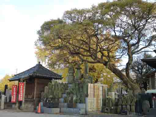 the koshindo hall and stone statues