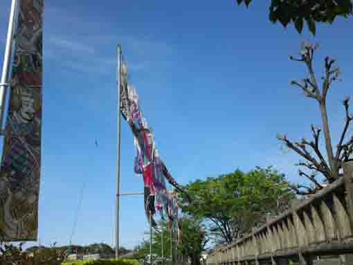 koinobori flags in Kozato Park ③