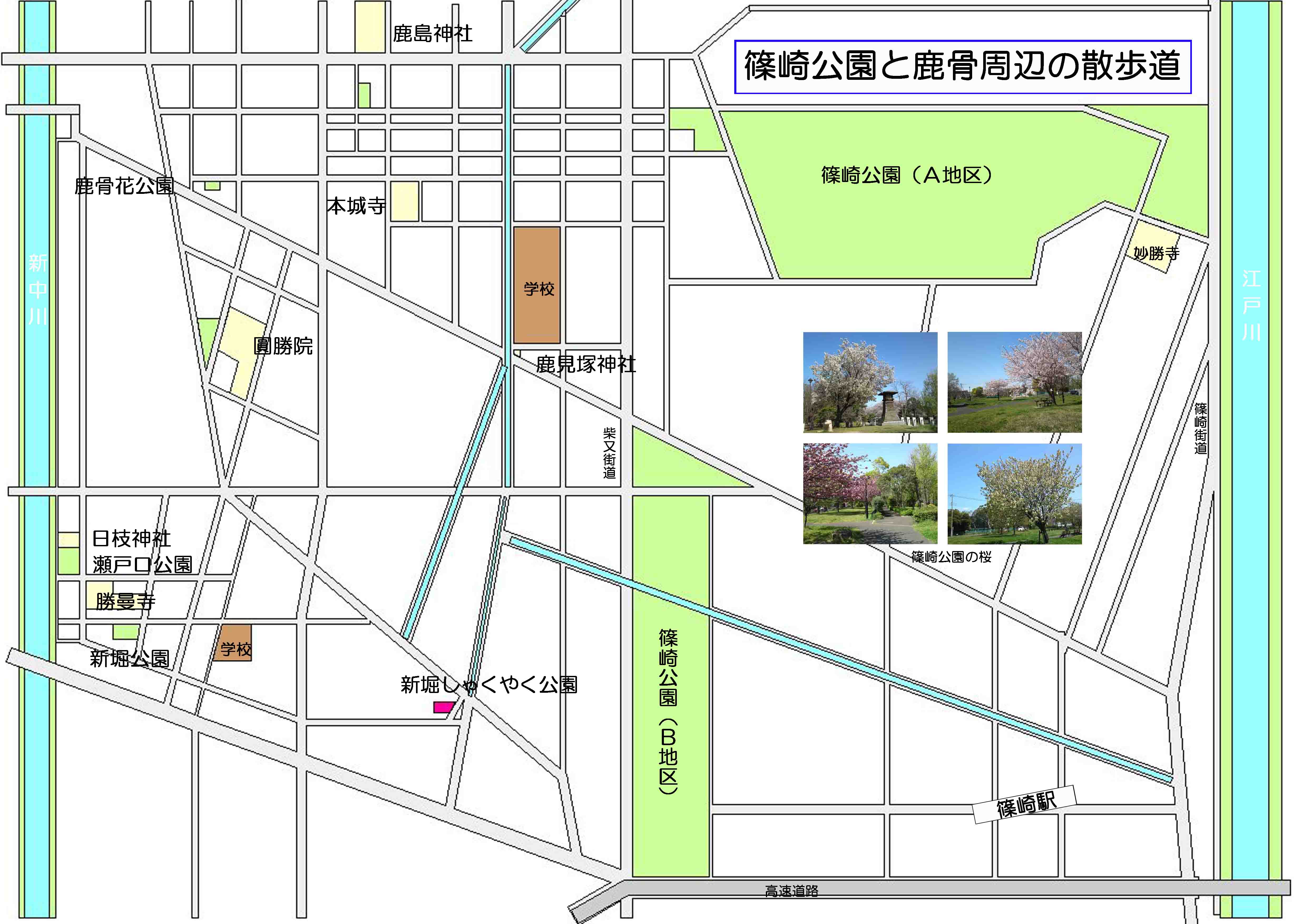 篠崎公園観光名所の案内図