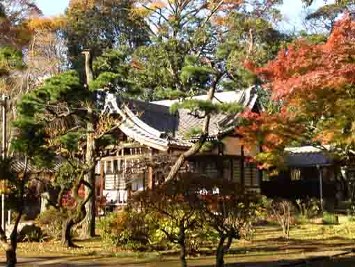 autumnal leaves colored Daikokudo Hall