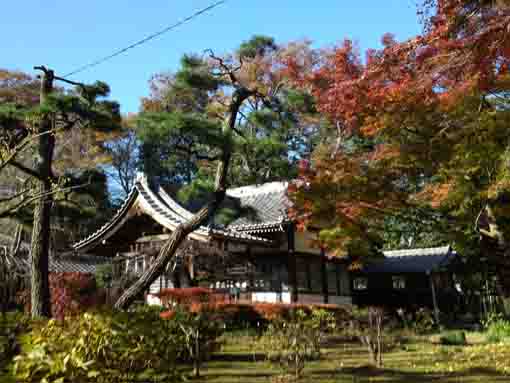 Daikokudo Hall in Mamasan Guhoji
