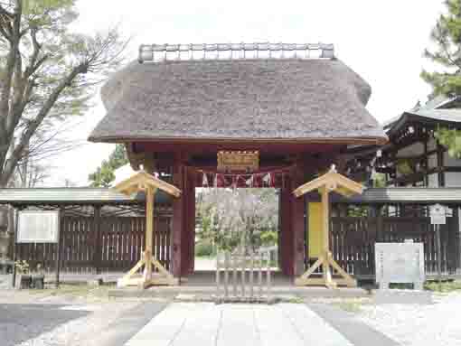 the main gate of Myokoji Temple