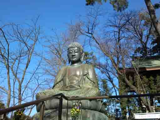 the Great Buddha in Hokekyoji