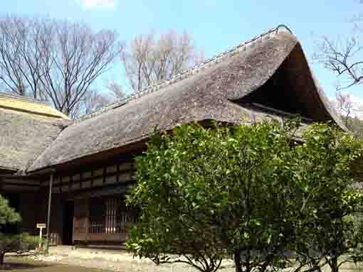 a thatched roof on Ichinoe Nanushi Yashiki