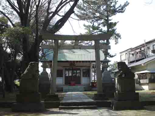 the main hall of Hie Jinja Shrine