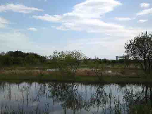 the view of Oogashiwagawa Retention Basin