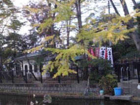 the Hachidai-ryuo-do hall in fall