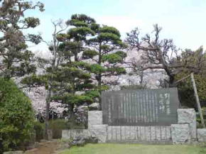 the Literature Monument in spring