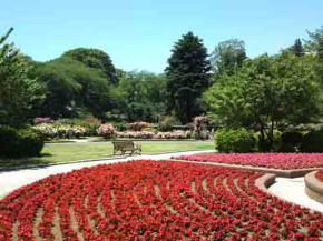 flowers in early summer in Satomi Park