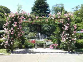 rose gates in Satomi Park
