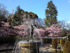 the remain of Konodaijo Castle