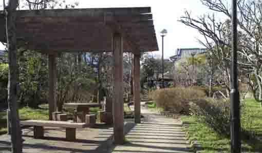 Seikaen in Nakayama Ichikawa