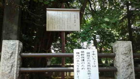 the guide post about Senbon Icho Tree