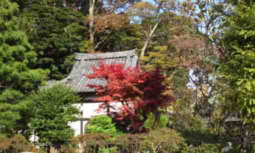 Ugajindo Hall in fall