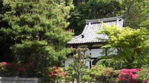 The azaleas around the ugajin-do