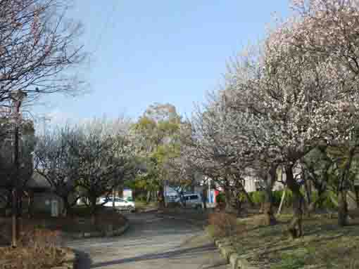 Ukita Higashi Koen Park in Naka Kasai