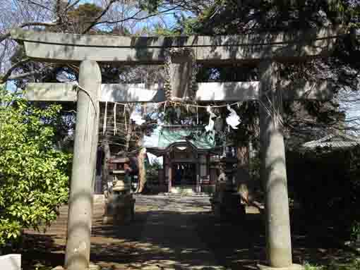 the torii gate of Wakamiya Hachimangu