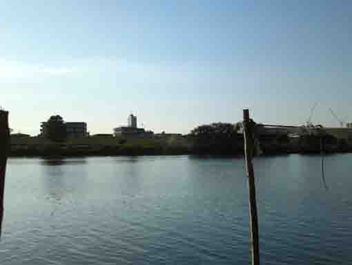 Edogawa River from the ferry at Yagiri