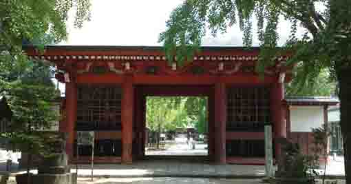 the zuishinmon gate of Hachimangu