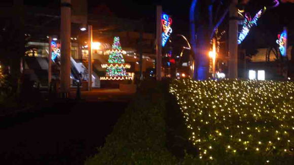 The Christmas lights in 2013