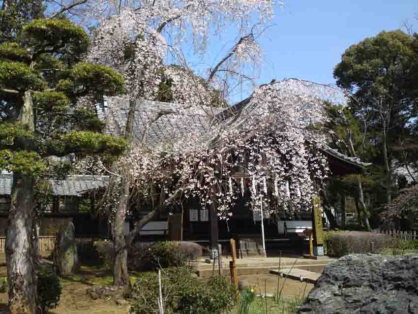 Daikokutendo Hall in Guhoji Temple