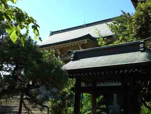 Ryukisan Seitaiin Jokoji Temple