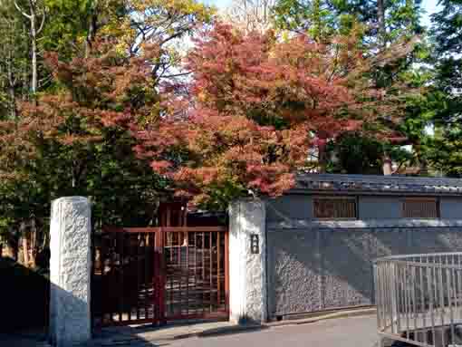 colored leaves over the gate of Eifukuji