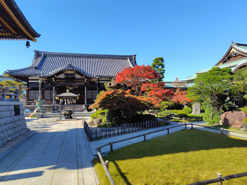 �ߘa�V�N�H���h�R�������̍g�t�P